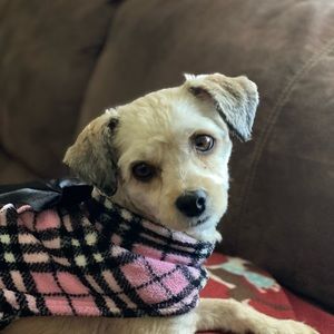 Meet your Posher, Nancy